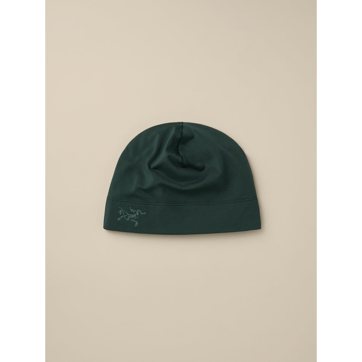 Arc'teryx Rho Toque